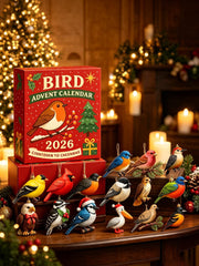 Bird Advent Calendar 2026