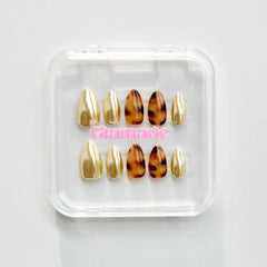 Golden Tortoiseshell