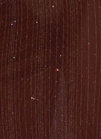 Haylan Sparkle Mesh Maxi Dress - Chocolate