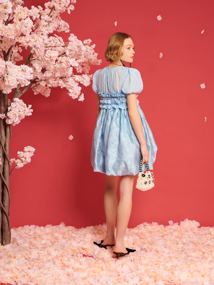 Brooke Organza Mini Dress