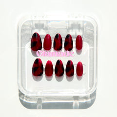 Ruby Tortoiseshell