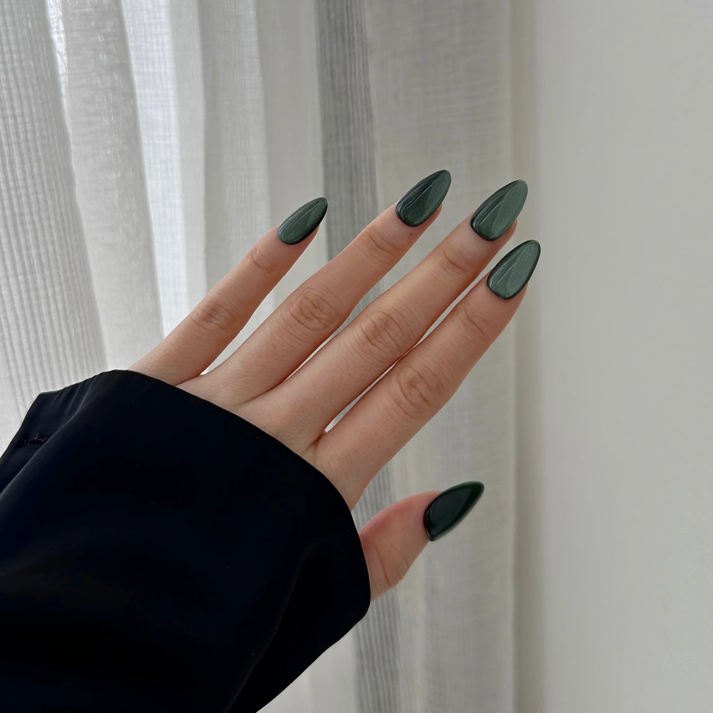 Forest Velvet