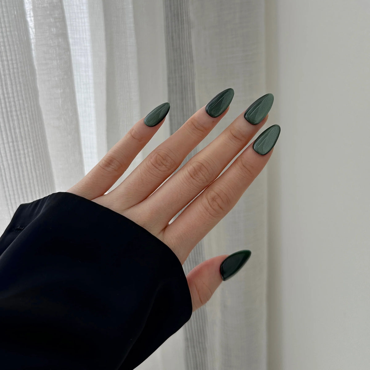 Forest Velvet