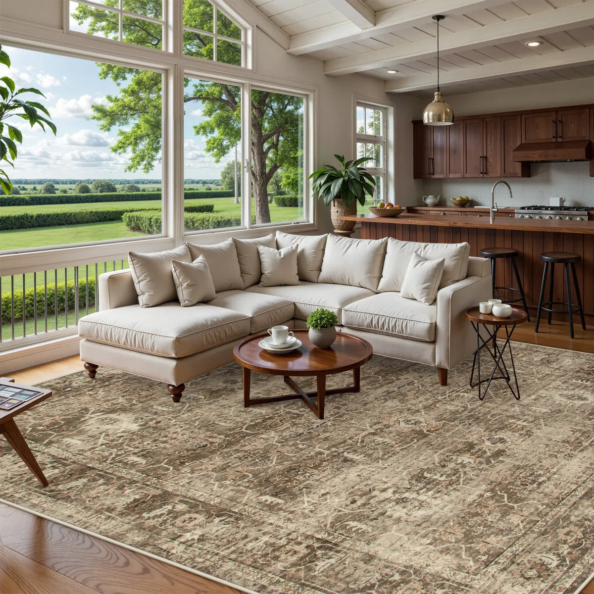 Margot Washable Vintage Distressed Brown Rug