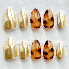 Golden Tortoiseshell