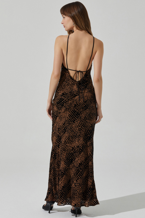 ASTR | Briotte Dress