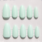 Tiffany Mimosa