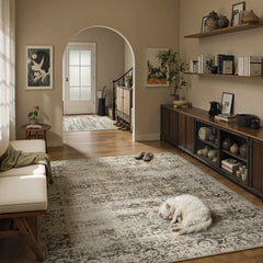 Margot Washable Vintage Distressed Beige Rug